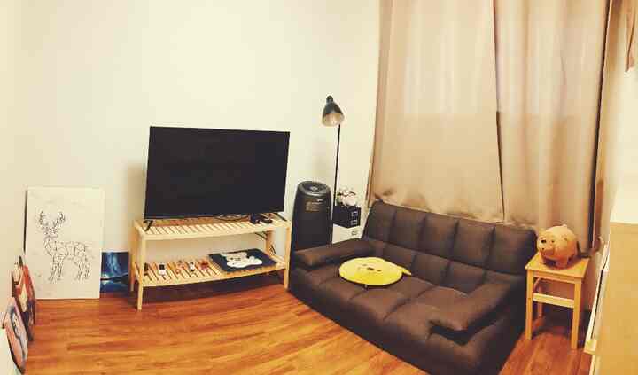 Warm brown wooden floor and white walls in a compact game room featuring a foldable sofa bed and TV for cozy entertainment
