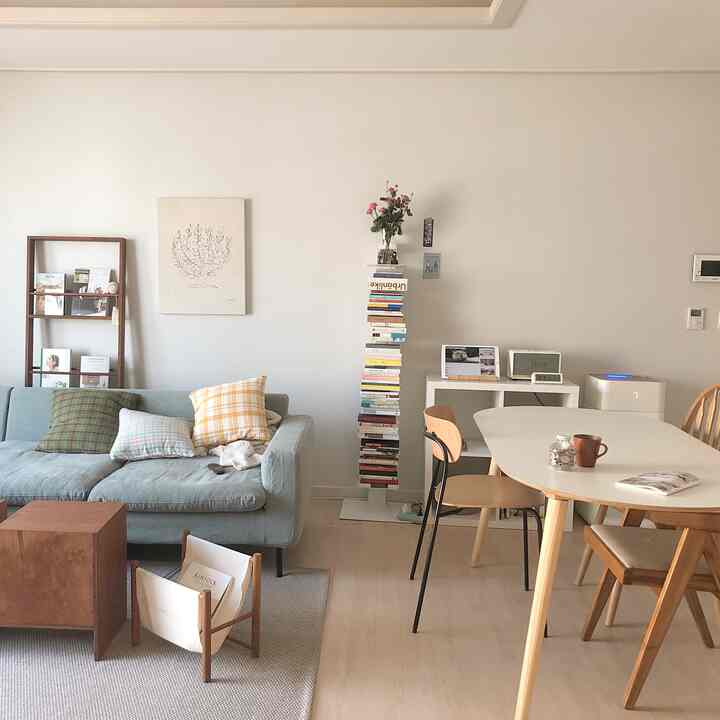 Bright natural-toned living room featuring a sofa, dining table, bookshelves, and cushions creating a cozy interior