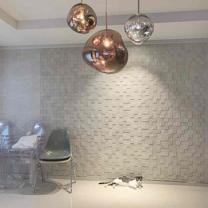 White and transparent toned dining room featuring Eames chairs and pendant lights with a cat lounging on the floor, modern atmosphere