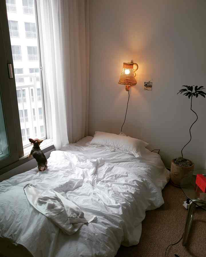 明るいホワイトトーンとナチュラル素材の寝室、ラタンの壁灯と観葉植物が雰囲気のあるインテリアを作り出す