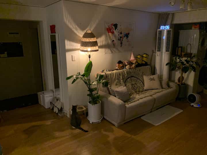Cozy living room with warm beige and wood tones featuring a sofa, floor lamp, and a cat