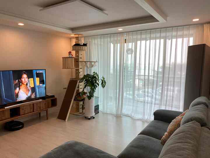 Bright white and wood-toned living room featuring a large gray sofa, wooden cat tower, and sheer curtains over big windows, creating a harmonious space
