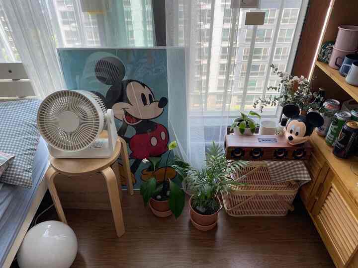 Small natural-toned room with white curtains, fan, rattan baskets, and plants harmoniously arranged