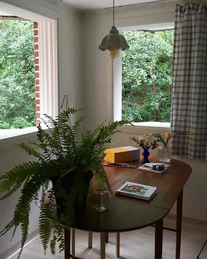 ナチュラルな木目調のダイニングルーム、窓際にブルーチェックのカーテンと大きな観葉植物が配置された落ち着いた空間