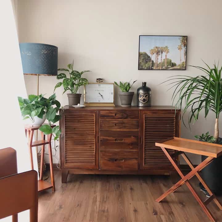 Natural wood-toned living room with a central wooden dresser surrounded by green plants creating a calm atmosphere