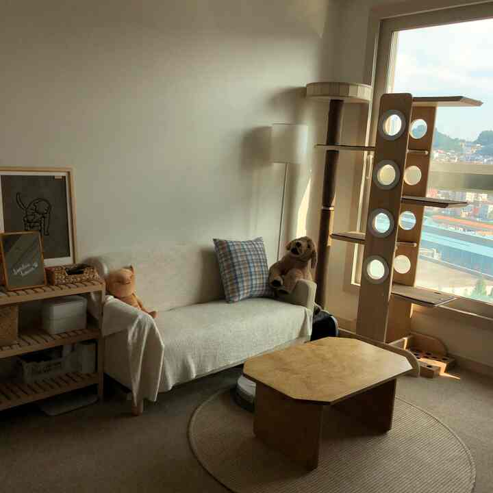 Natural wood tones and white combine in a living room featuring a sofa and cat tower creating a cozy atmosphere