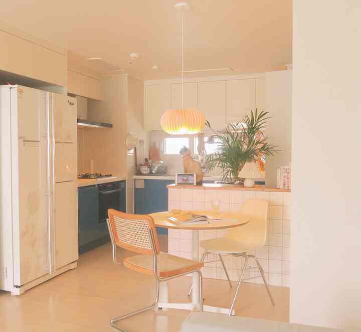 A 25-pyeong apartment kitchen featuring warm beige and white tones, a round dining table, a cat on the counter, and an Areca palm plant creating a natural atmosphere