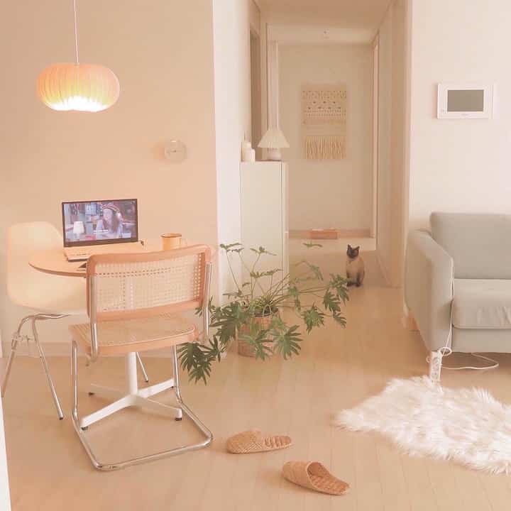 Natural-toned living and kitchen area featuring a sofa, round dining table, plants, and a cat creating a cozy atmosphere