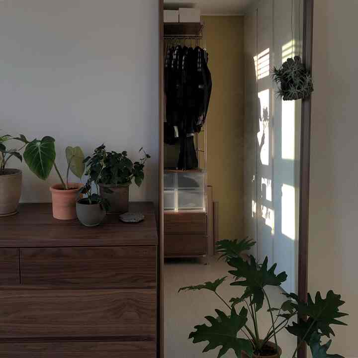 柔らかいブラウンとベージュのトーンのウォークインクローゼット、植物が配置されたナチュラルな雰囲気のインテリア