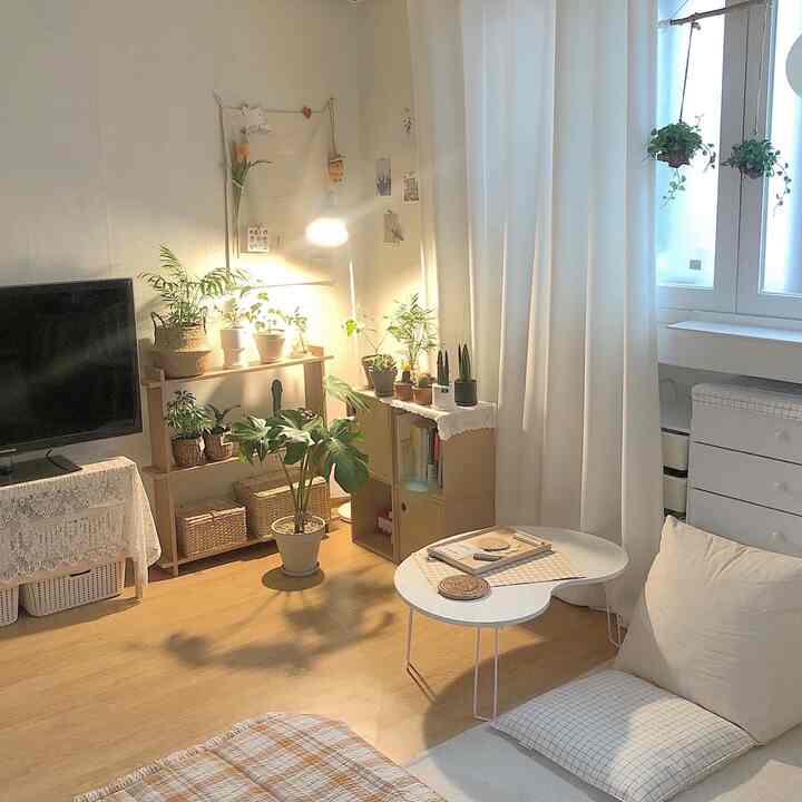 Natural tones with white curtains and plants in a cozy living room space