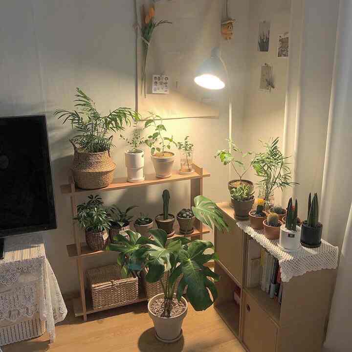 ベージュと木目調が調和した狭い部屋の一角に多様な植物とプラントスタンドが配置されたナチュラルモダンな空間