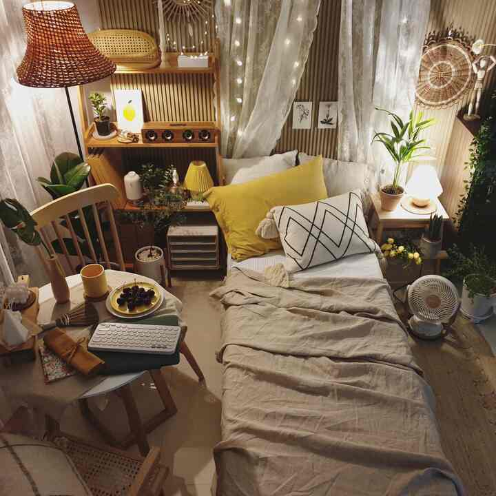 Natural wood-toned single-person room filled with plants, featuring a sofa bed and a small table creating a cozy atmosphere