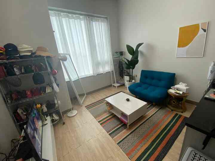 A compact living room with a white base, blue sofa, and vivid ethnic rug arranged neatly