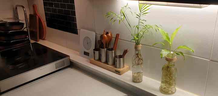 ホワイトトーンのキッチン空間、間接照明と水耕栽培の植物が配置された清潔で癒しのあるインテリア