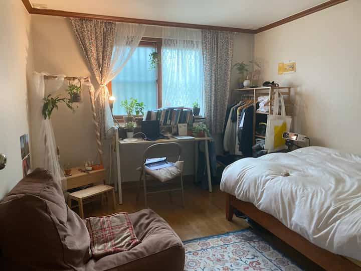 Natural-toned single bedroom featuring sofa, desk, and various plants creating cozy vintage atmosphere