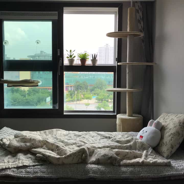 Beige-toned bedroom with cat tower and potted plants near the window, creating a peaceful space
