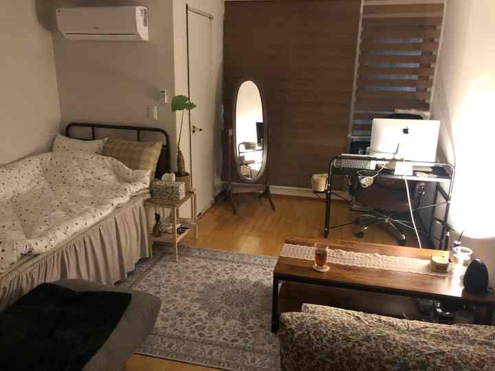 Natural wood tone studio living room featuring single bed, computer desk, and rug in a cozy space