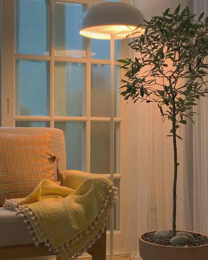 A cozy living room in warm yellow and natural tones featuring a beige sofa, floor lamp, and olive tree creating a welcoming atmosphere