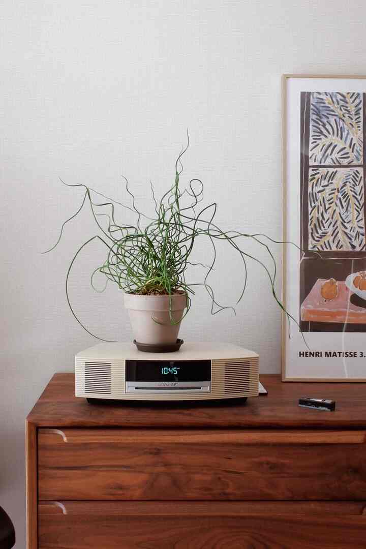 ナチュラルカラーの寝室、木製チェストの上に植物とオーディオシステムが配置された雰囲気のあるインテリア