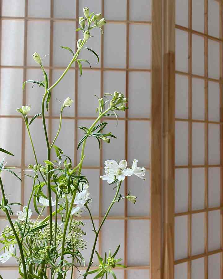 A white and natural toned space featuring a vase with flowers and wooden room dividers creating a serene atmosphere