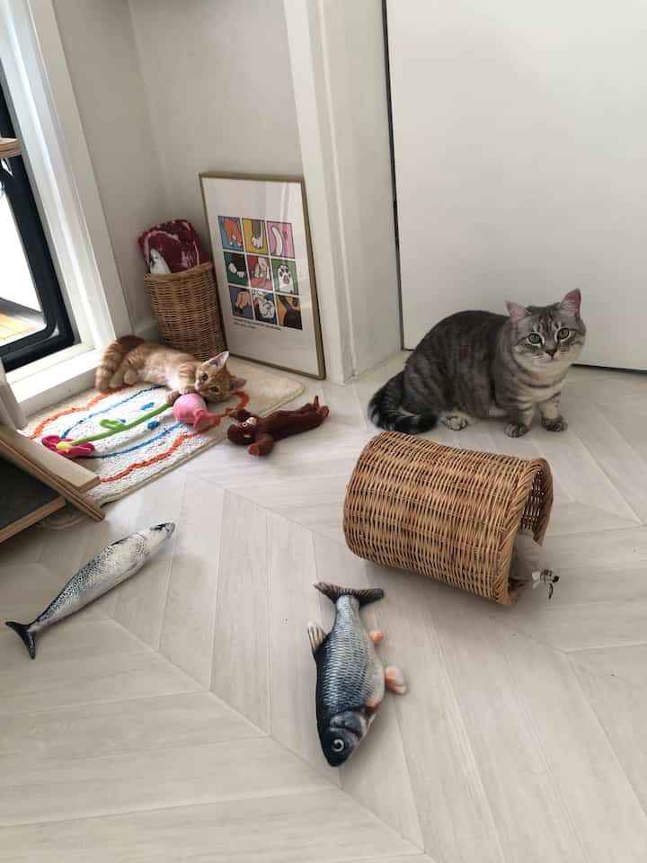 ナチュラルカラーの床と白い壁の猫の遊び場、ラタンバスケットとペット用おもちゃが配置された雰囲気のあるインテリア
