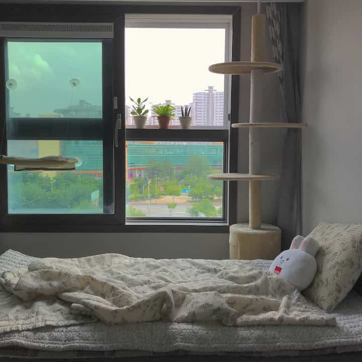 ベージュと白の色調の寝室、窓辺に猫用キャットタワーと観葉植物が配置された、自然で落ち着いた雰囲気のインテリア