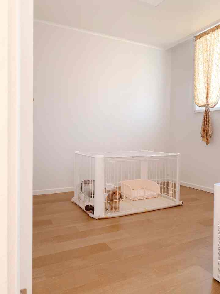 Natural toned 6-tatami room featuring white pet cage, floral curtain, and air purifier creating a cozy pet space