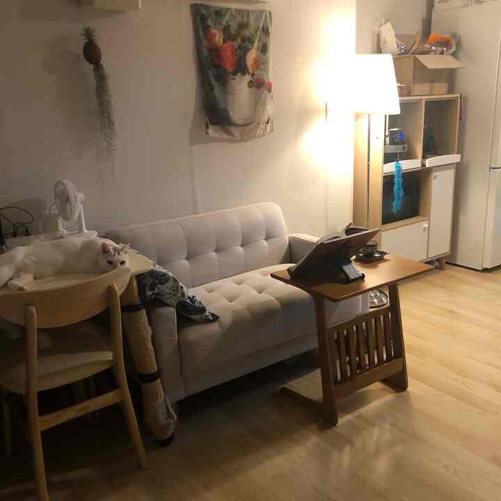 Tagged posts featuring Wooden Side Table with Magazine Rack 3