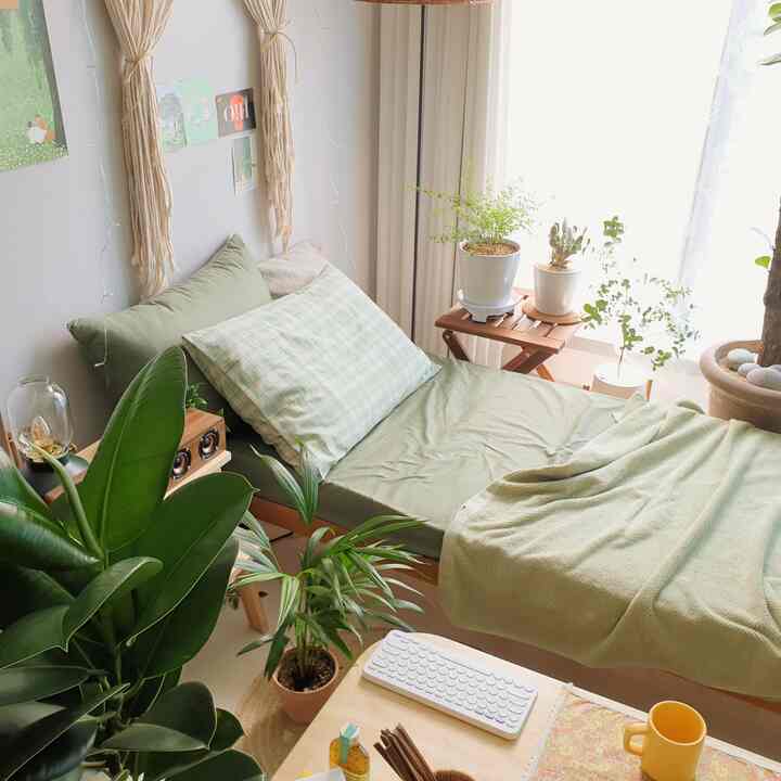 Natural-toned studio bedroom featuring a macrame wall hanging and multiple indoor plants creating a cozy atmosphere