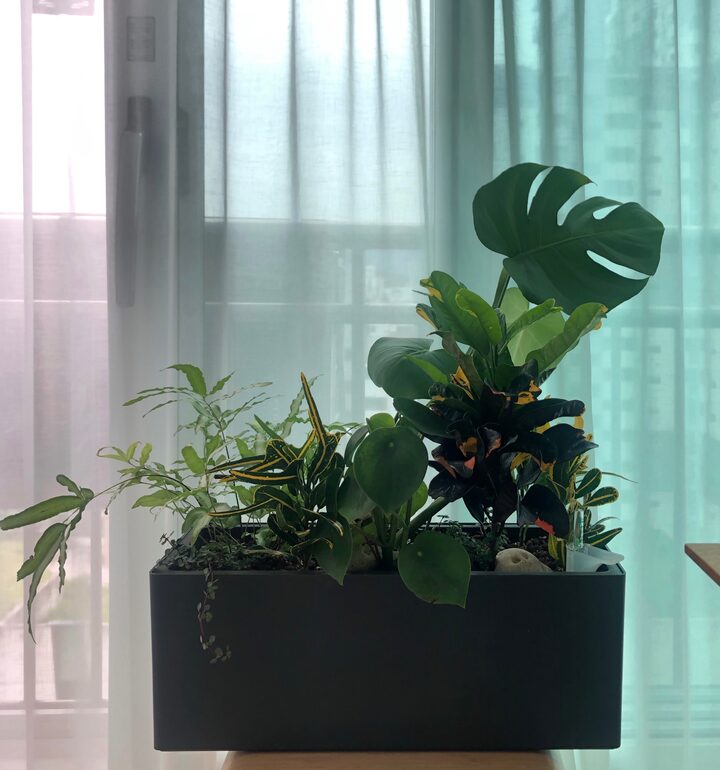 short form carousel card thumbnail