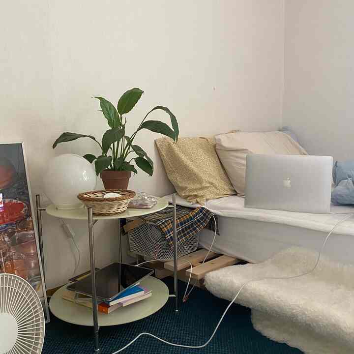 白とネイビーの色調のワンルーム寝室、ベッドとナイトテーブル、植物が温かみのある雰囲気を作るインテリア