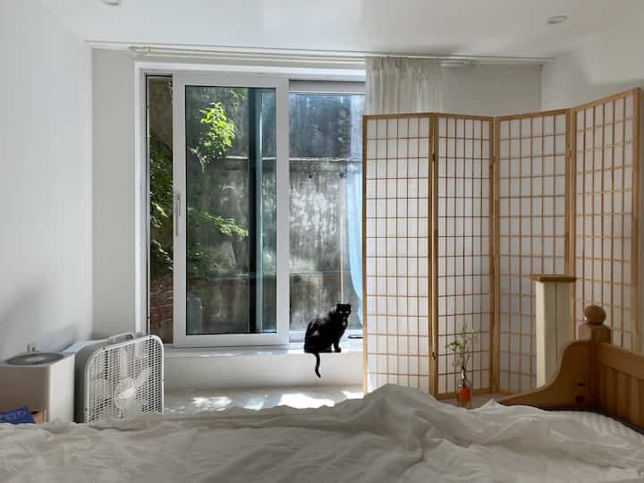 白と木目調の寝室、窓辺に黒い猫と障子のスクリーンが配置された落ち着いた雰囲気のインテリア