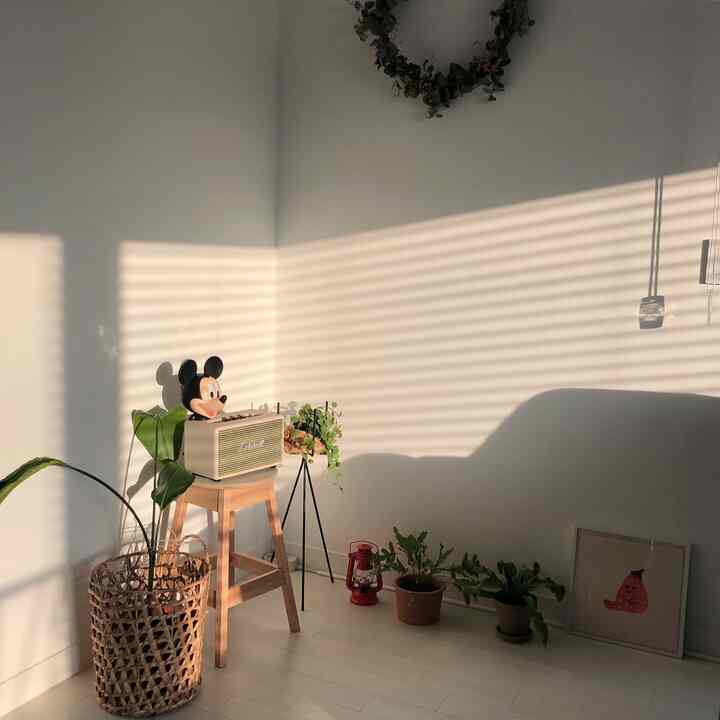Natural wood tones and plants arranged in a living room with blinds casting warm afternoon shadows