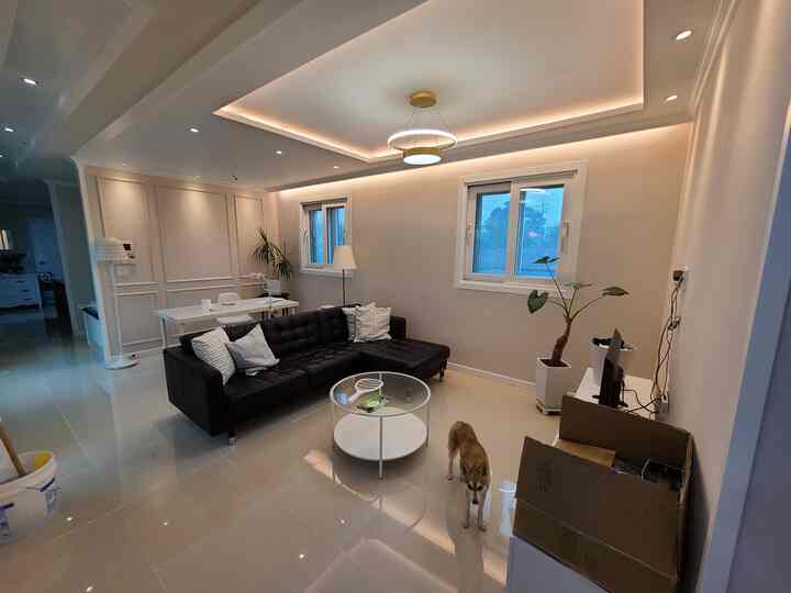 Modern living room in white and beige tones featuring a black sofa, round coffee table, and a dog, creating a cozy atmosphere