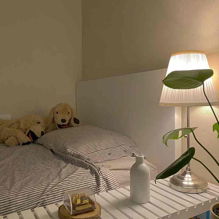 Simplistic bedroom with white walls and headboard, striped duvet and dog plush toys on bed, monstera plant and table lamp on right side