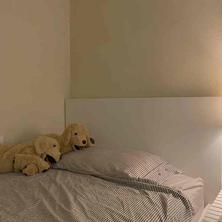 温かみのあるベージュとホワイトの寝室、2つの犬のぬいぐるみと整った掛け布団カバーが配置された雰囲気のある空間