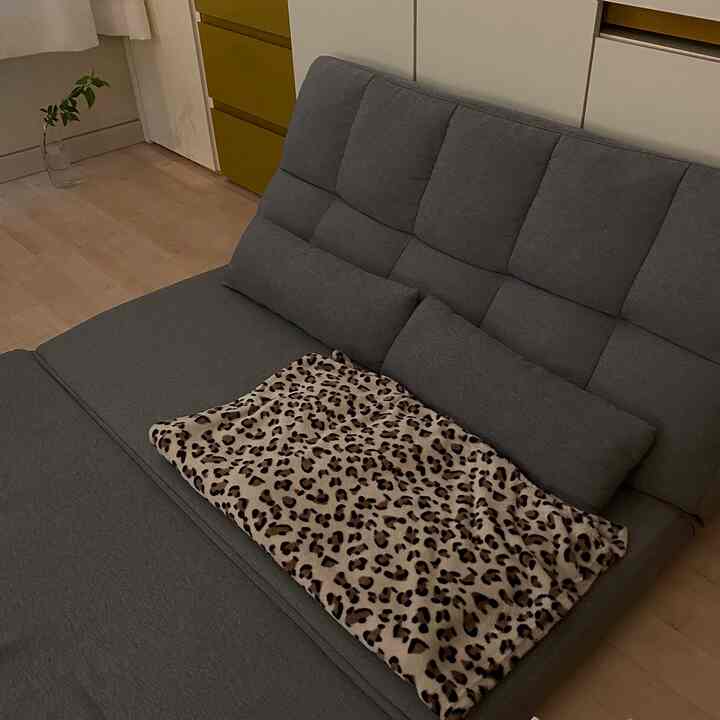 グレーの折りたたみソファベッドとヒョウ柄のブランケットがある居心地の良いワンルームのリビング