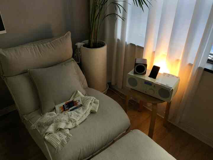 Beige and brown toned living room featuring a recliner sofa, ottoman, plant, and side table creating a cozy atmosphere.