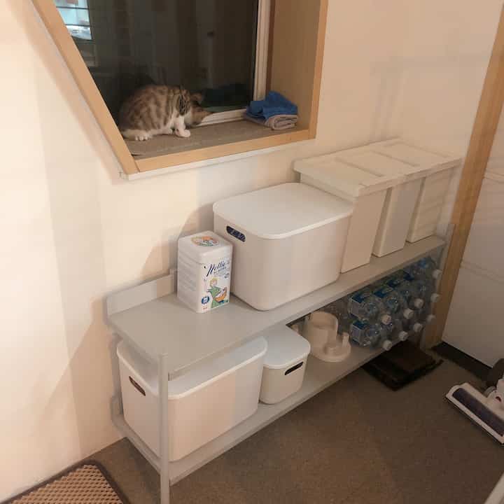 White and gray toned veranda featuring a cat on the windowsill with organized shelving, recycle bins, and storage items creating a neat interior