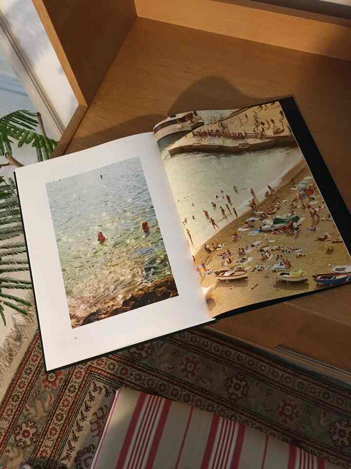 Cozy living room featuring natural wood-toned walls, cafe-style carpet, and plants with a warm atmosphere