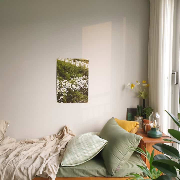 Beige and green toned studio bedroom featuring a sofa bed, pillows, plants, and natural sunlight creating a cozy, natural vibe