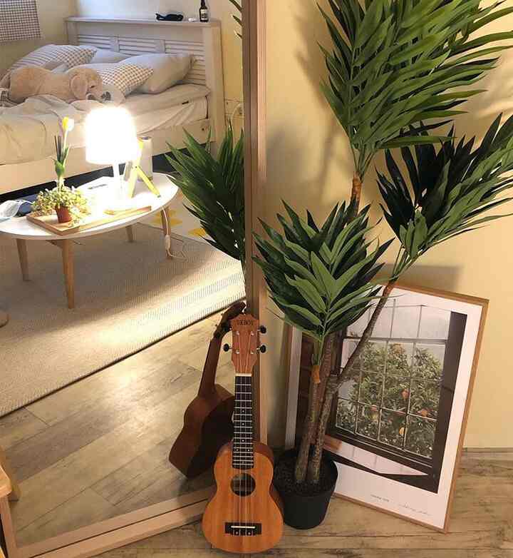 A cozy single household bedroom featuring warm wood tones and natural green plants with soft lighting