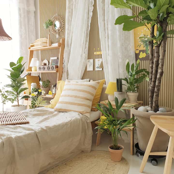 A cozy studio bedroom featuring soft wood tones and yellow accents, with a sofa bed and various plants creating a natural atmosphere