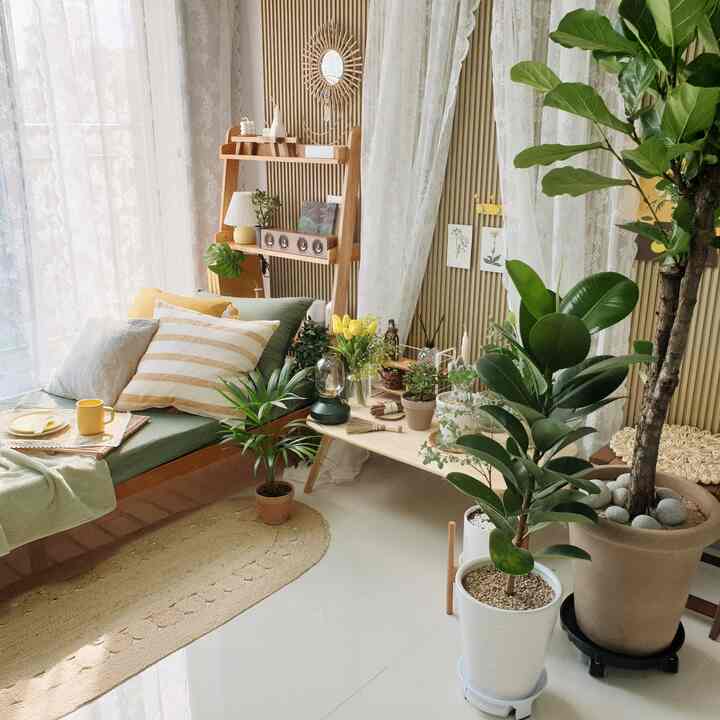 Natural-toned veranda featuring wooden furniture and abundant plants with a cozy atmosphere