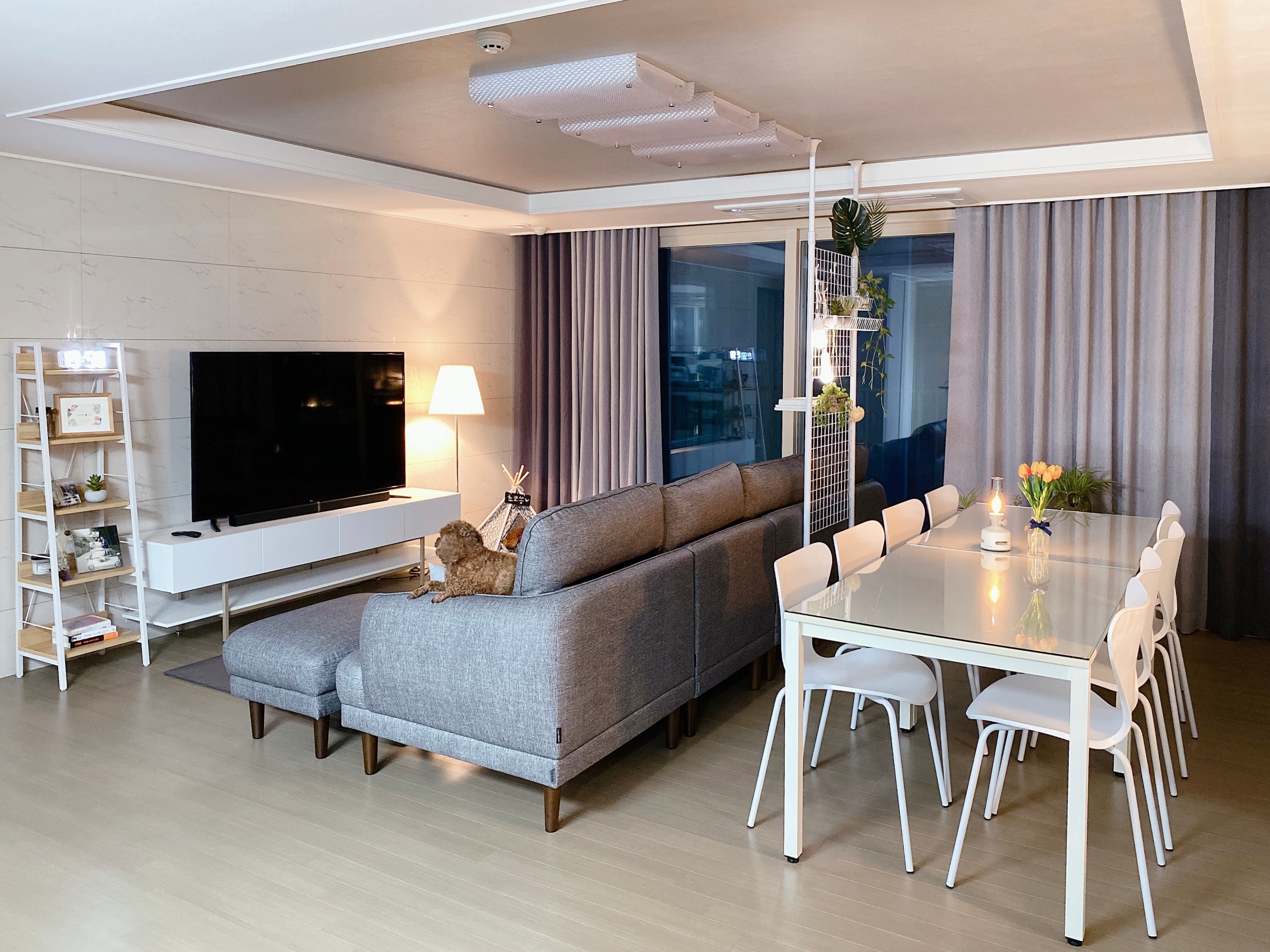 LED Lantern Speaker user photo