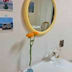 메리골드.
