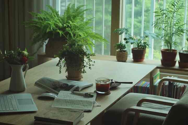 Natural wood-toned living room study featuring a wooden table with reading books and plants creating a peaceful atmosphere