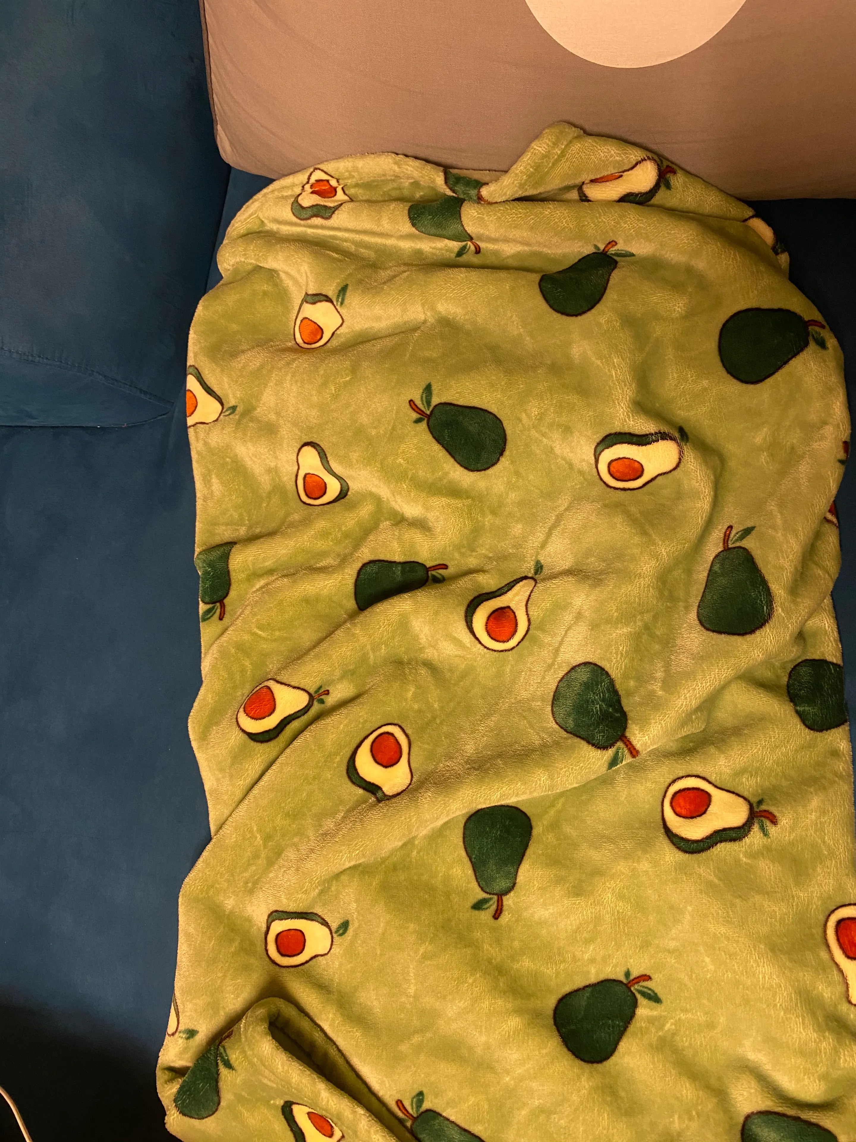 Avocado Microfiber Blanket & Comforter user photo