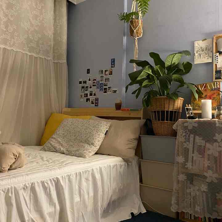 Cozy single household bedroom with soft blue walls and white bedding, featuring natural decor and a home gallery ambiance
