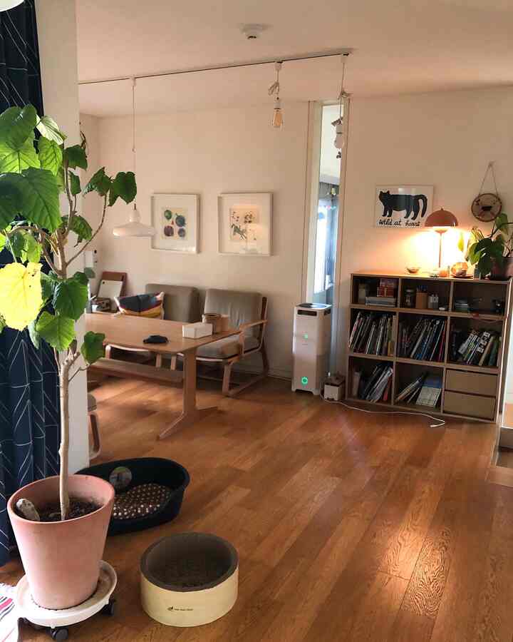 Natural wood tone and bright beige two-person dining room featuring pet accessories and cozy lighting with a comfortable atmosphere